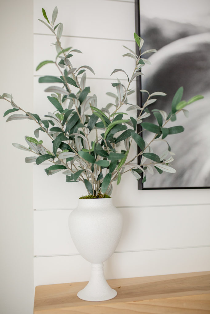 Recreating the Studio McGee Olive plant arrangement with what I had - A look at how it turned out. 
