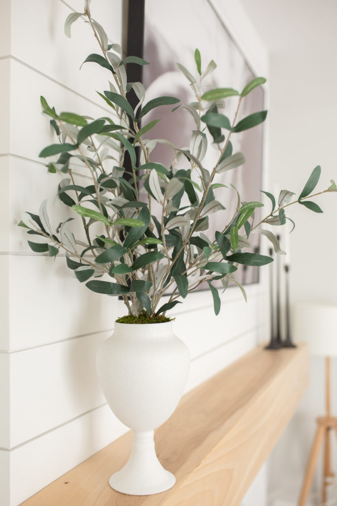 Recreating the Studio McGee Olive plant arrangement with what I had - A look at how it turned out. 